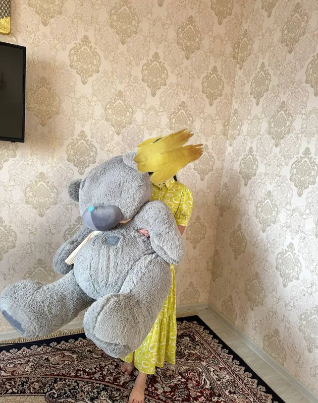 Teddy ayiq Teddy ayiq