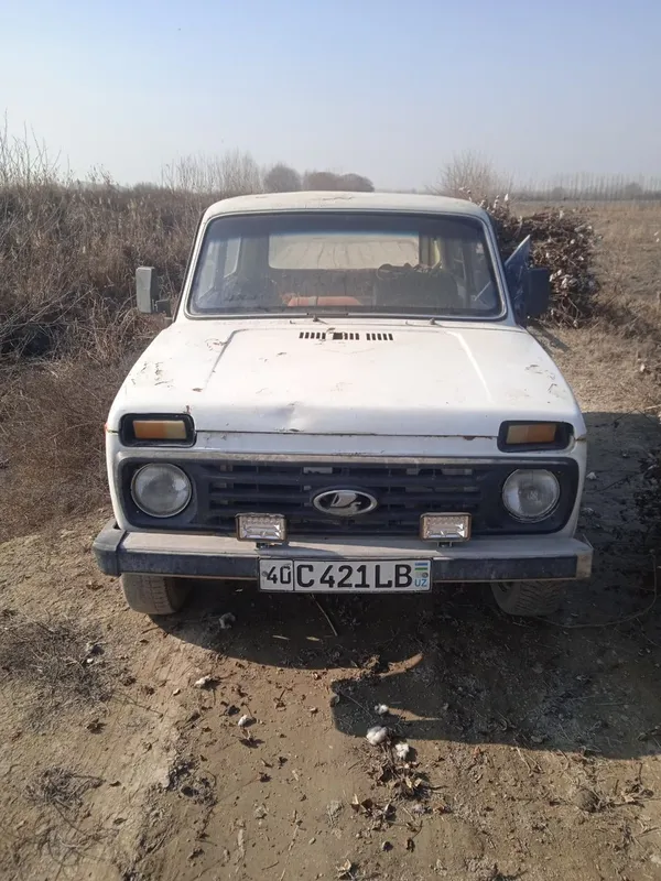 Niva Sotiladi. Aravasi bilan. 1