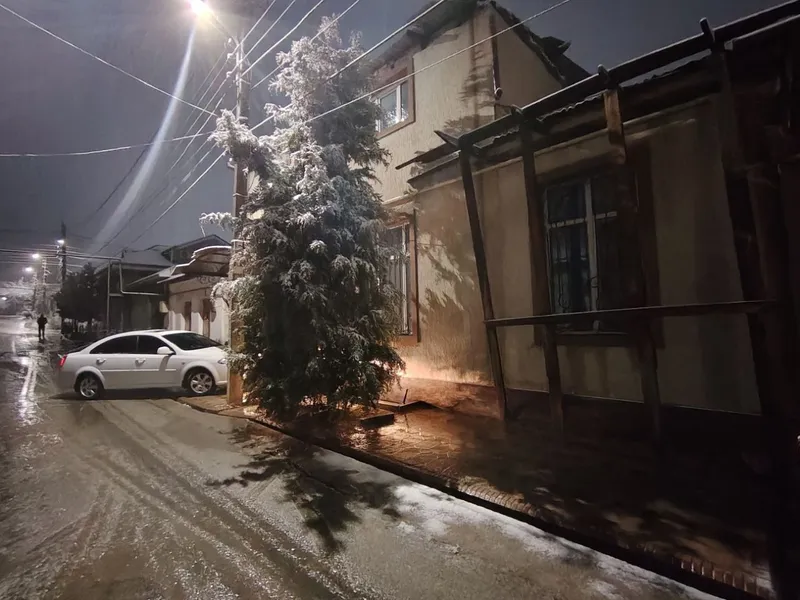 Yunsobod bodomzor Tatuv Letseyni roparasida 2.8sotik 2etaj Hovli 2 Yunsobod bodomzor Tatuv Letseyni roparasida 2.8sotik 2etaj Hovli 2