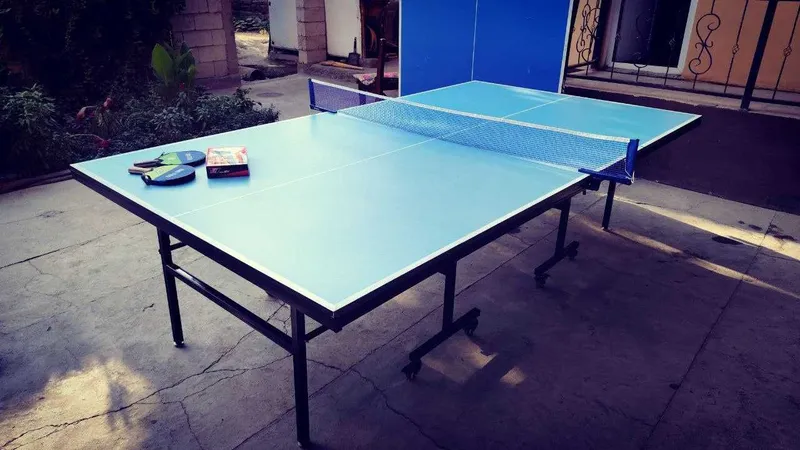 Stol tennis | Ping-Pong | Настольный теннис — фото 1