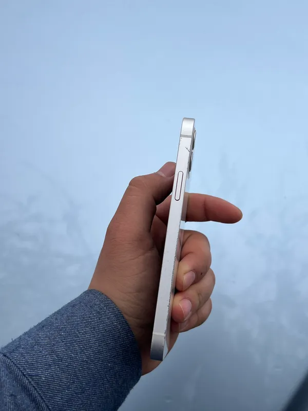Apple 12