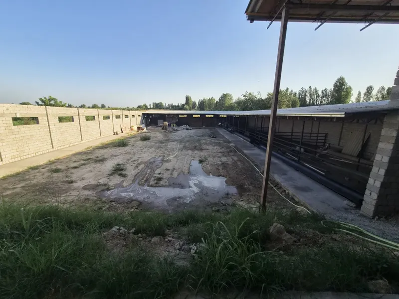 10 сотих ер 200та куйга мулжалланган таййор ферма кодастир бор 2 1 10 сотих ер 200та куйга мулжалланган таййор ферма кодастир бор 2 1
