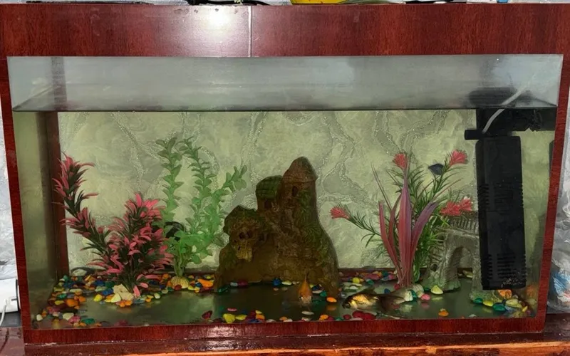 Гарантия на гада 2 дажи и больше Гарантия на гада 2 дажи и больше
