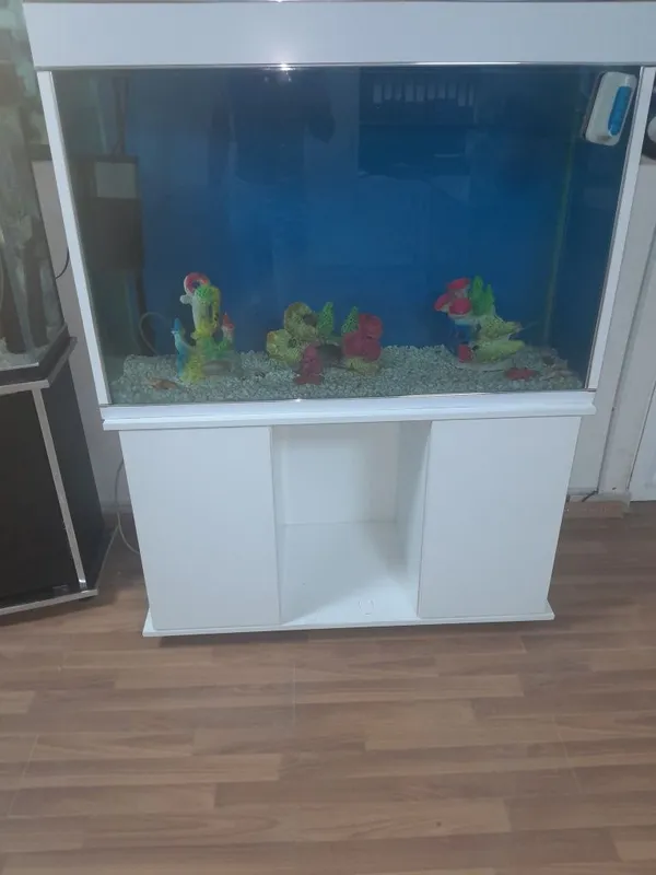 Akvarium 250 litr 6 oyna Qôship beraman dõmik Tosh filter chipiyõn s — фото 2