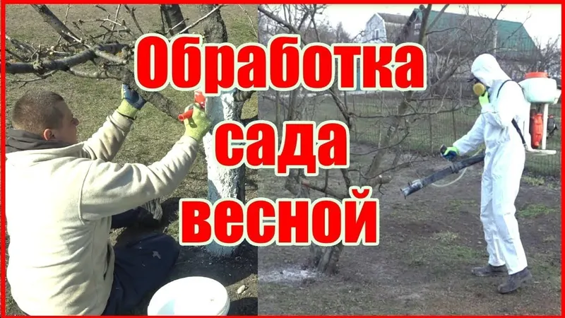 Обработка деревьев тля от всех болезней. Ширага карши дорилаш ишончлик — фото 1