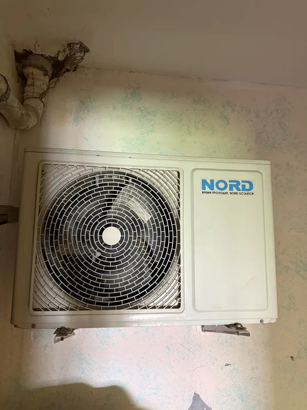 Kandisaner 18 lik satiladi Nord — фото 1