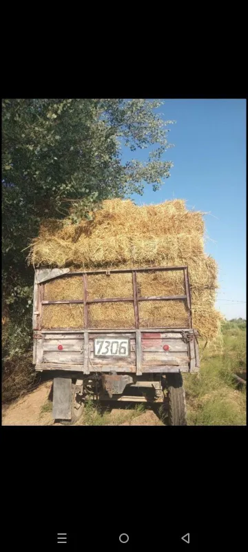 Бугдой самон сатилади 2 Бугдой самон сатилади 2