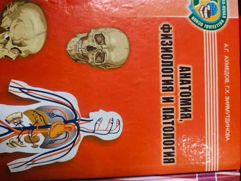 книга книга