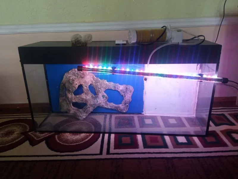Xajmi:Akvarium 80 litr 5 Xajmi:Akvarium 80 litr 5