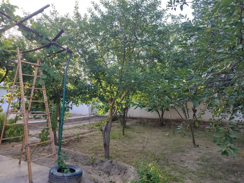 Дача на ДачаВосход — фото 1