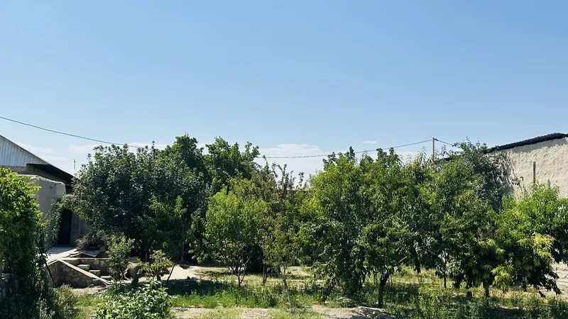 Yer sotiladi Buxoro moshin bozor uchastkalari 4 Yer sotiladi Buxoro moshin bozor uchastkalari 4
