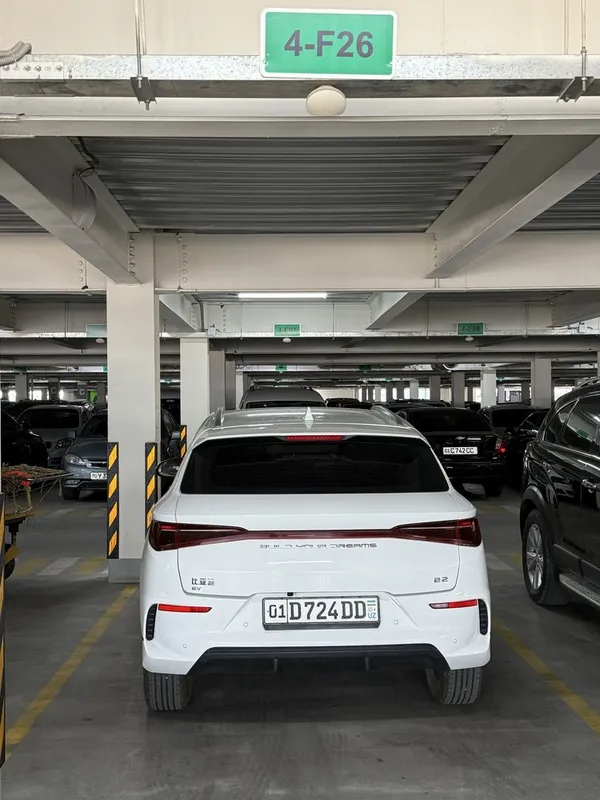 Byd e2 22.000 min yurgan zota — фото 2