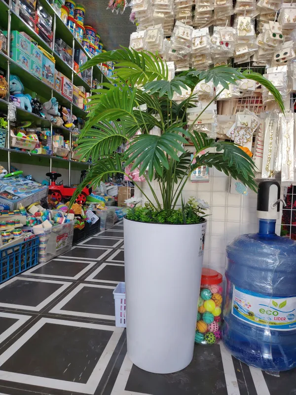 Dekarativniy Palma.Balandligi1,15 bu gulimiz suniy 3 Dekarativniy Palma.Balandligi1,15 bu gulimiz suniy 3