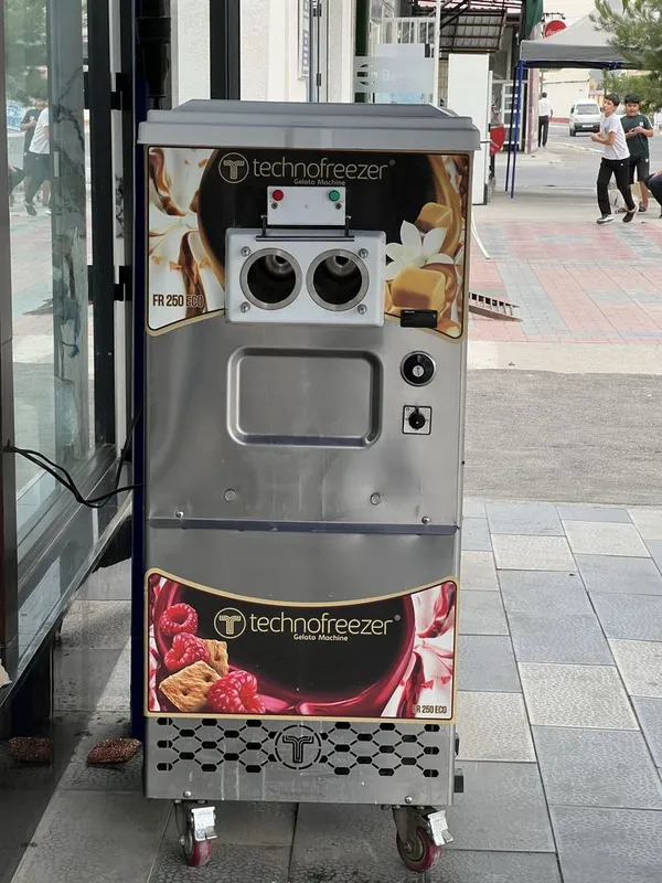 Фрейзер technofreezer 250 ECO