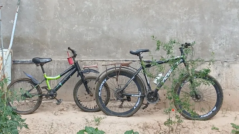 2ta velosiped sotiladi