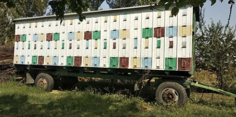 Продается, Павильон.