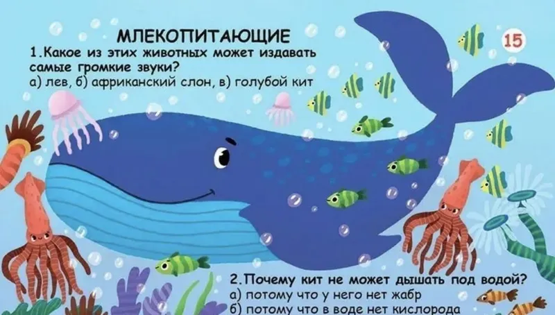 Вопросы и ответы о животном мире 5