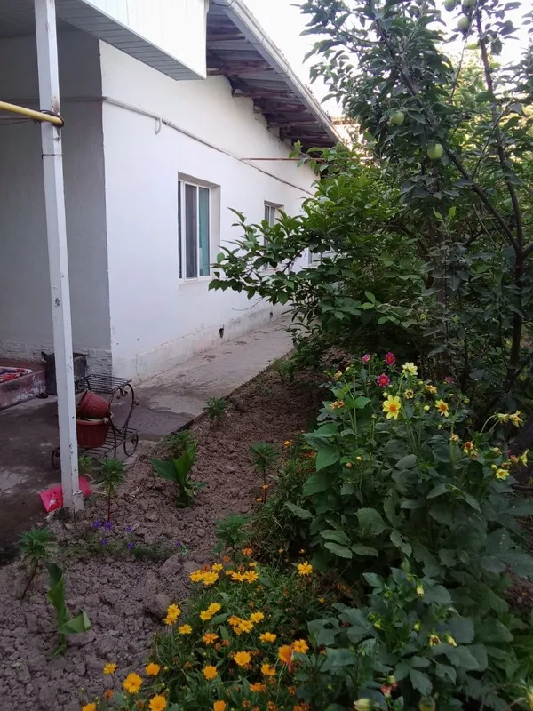 Uyimni sotaman, 4,43 sotix yer. 2