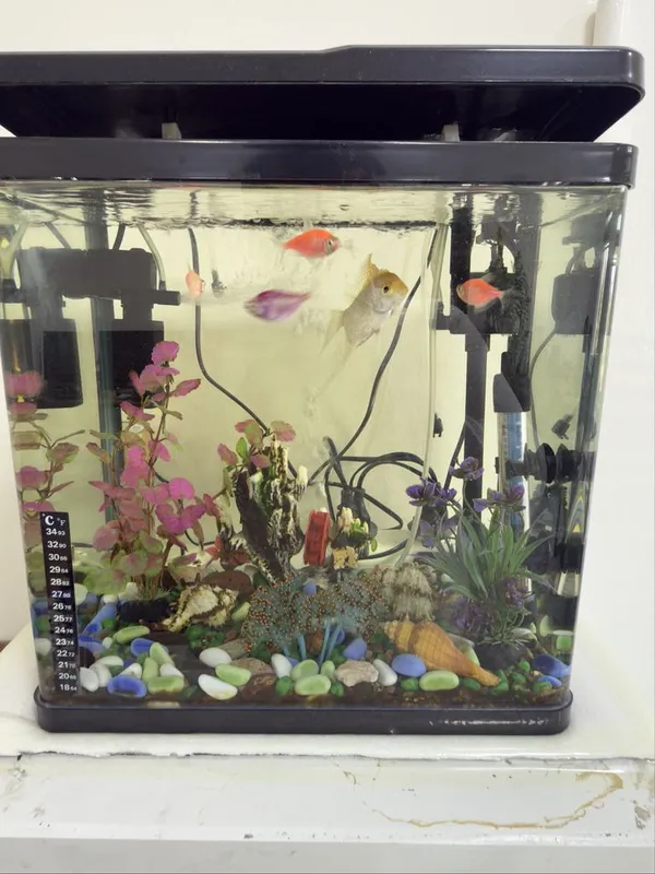 Akvarium 30 litr kitayskiy