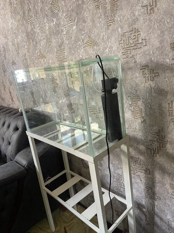 Akvarium, filtr va tagida podstafkasi xam bor. 1 Akvarium, filtr va tagida podstafkasi xam bor. 1