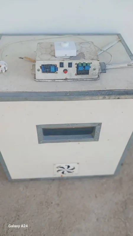 Incubator Srochna sotiladi !!!