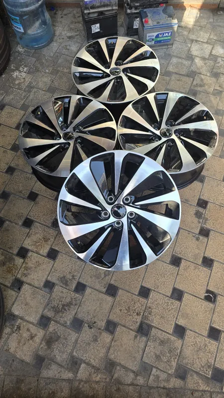 19 razmerli BYD champion radnoy disk 1