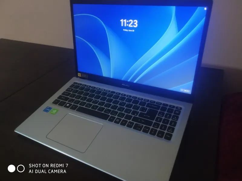 acer acer