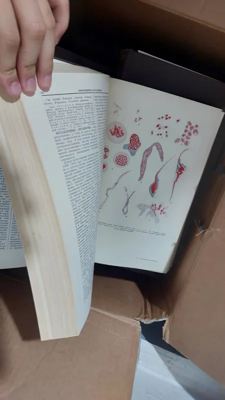Книги БМЭ медицинские 1 Книги БМЭ медицинские 1