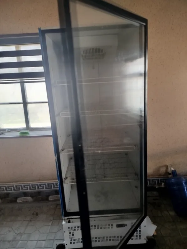 Vitrina muzlatgich rassiski xolati ideal — фото 1