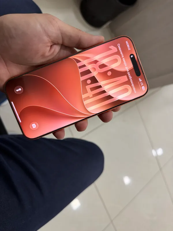 17 pro max 256gb 7