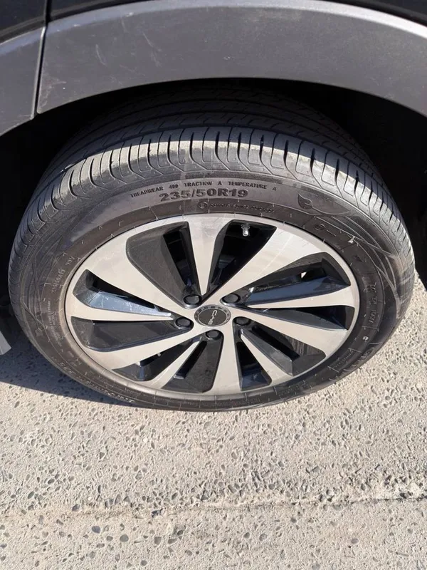 Byd chempion 150 talik sotiladi srochno 3 Byd chempion 150 talik sotiladi srochno 3