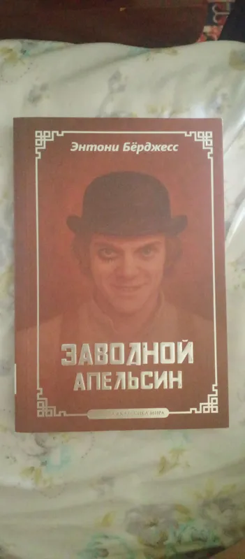 mybook