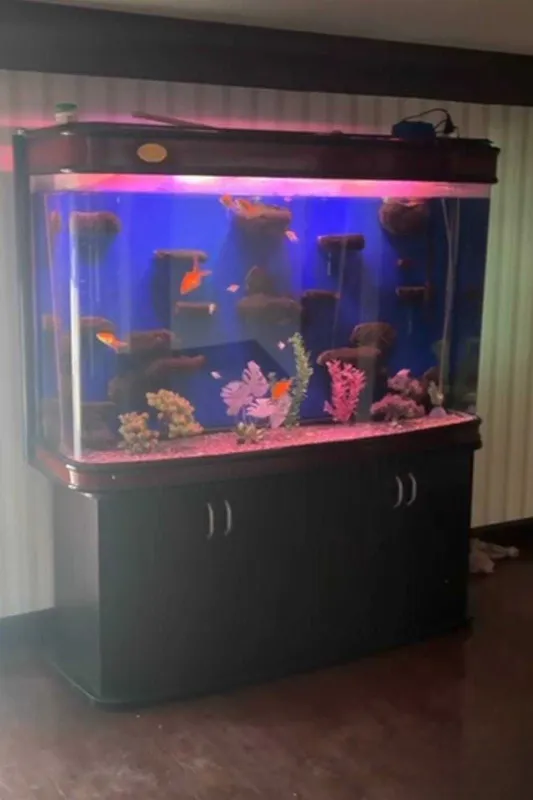 Akvarium katta xajimda 2 Akvarium katta xajimda 2