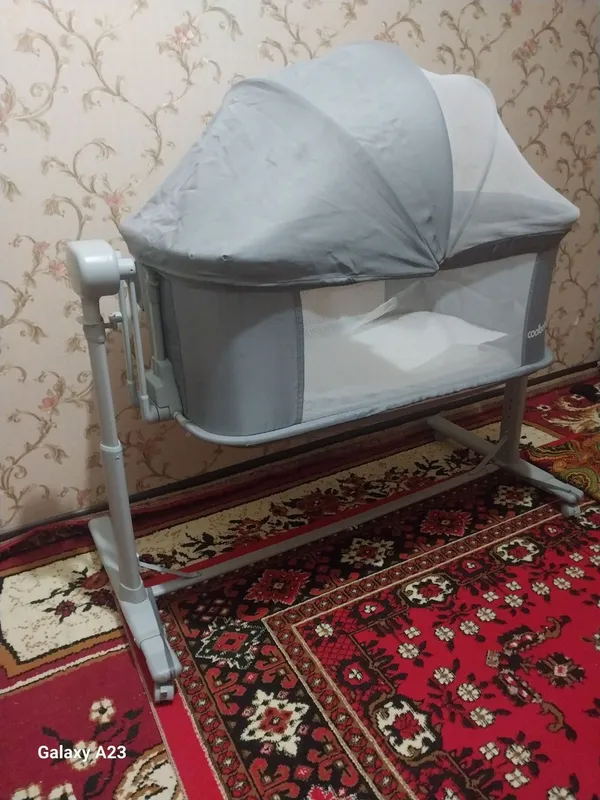 Belanchak sotiladi Belanchak sotiladi