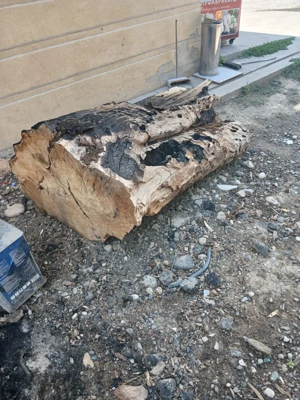 Продаётся дерево на дрова Продаётся дерево на дрова