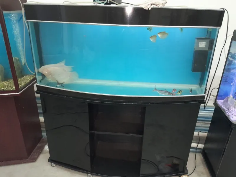Akvarium 250 litr 6 oyna Qôship beraman dõmik Tosh filter chipiyõn s — фото 5
