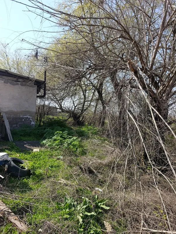 продаю дрова дёшево — фото 4