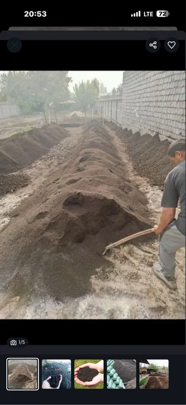 Biogumus Биогумус gazon urug’lariyam bor