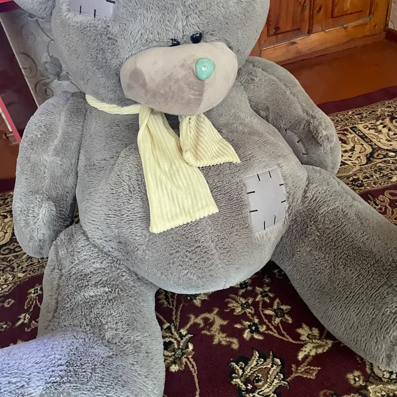 Teddy Juda katta Ayiq Srochnaga sotiladi — фото 2