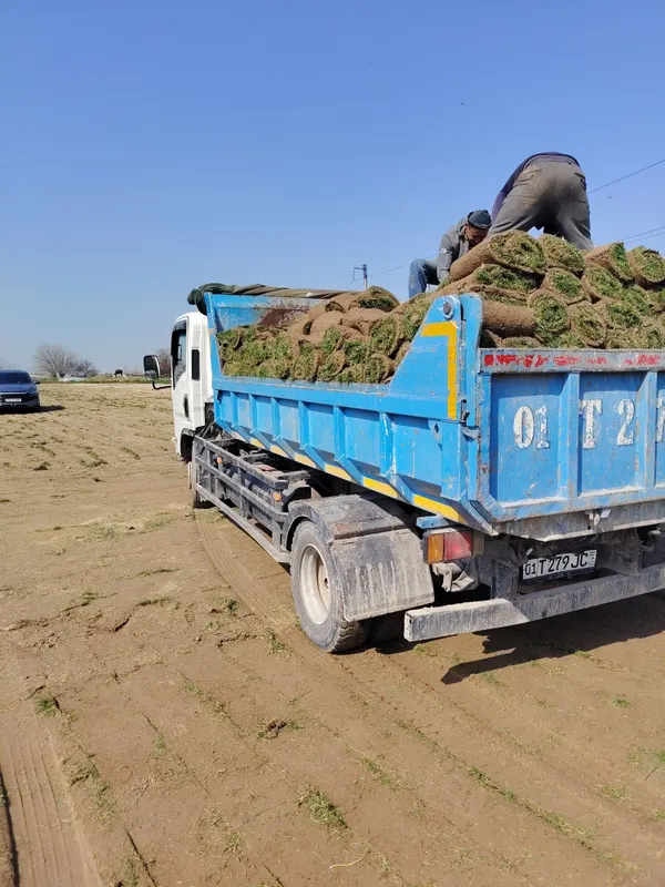 Isuzu samasval musir yuk tshish xizmati 2 Isuzu samasval musir yuk tshish xizmati 2