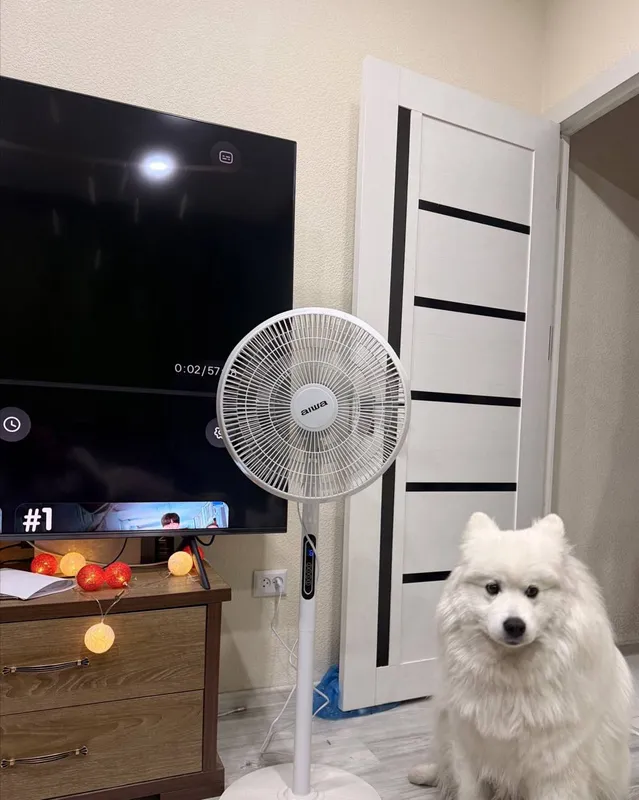 Aiwa ventilyatori 1