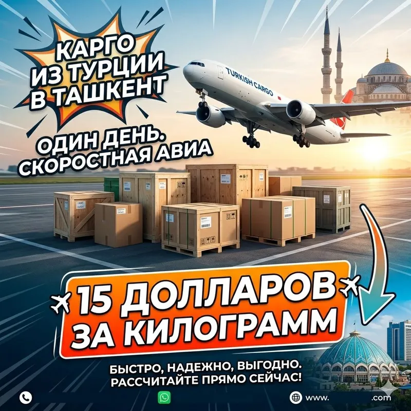 Быстрое карго 1 день Стамбул-Ташкент-Стамбул