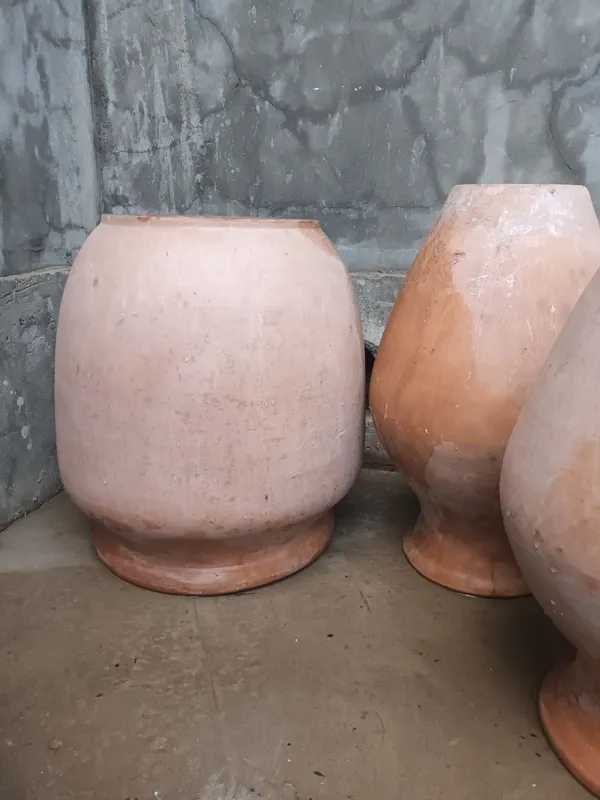 Sopol kózalar (katta) 3 Sopol kózalar (katta) 3