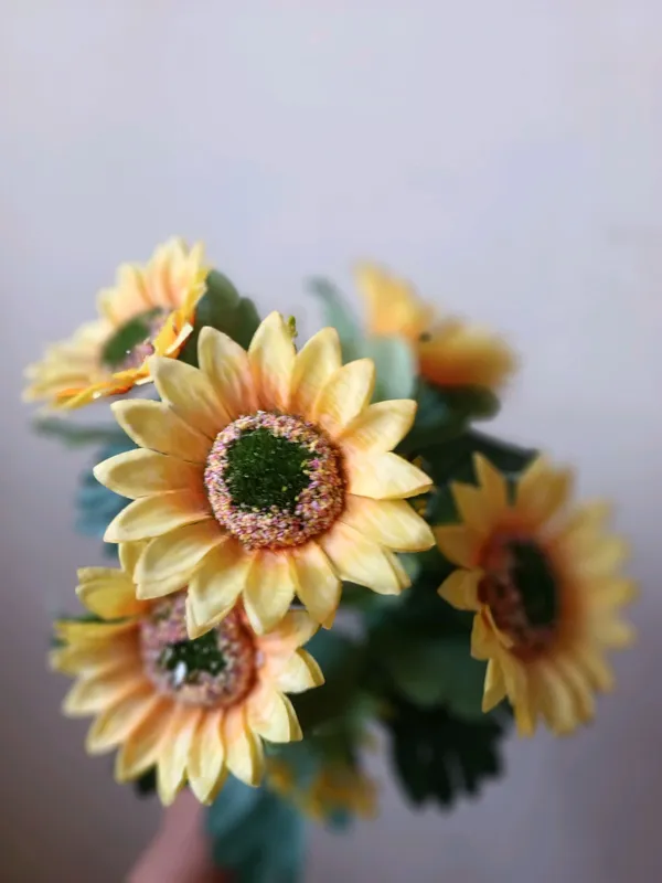 Семичка Gul 1