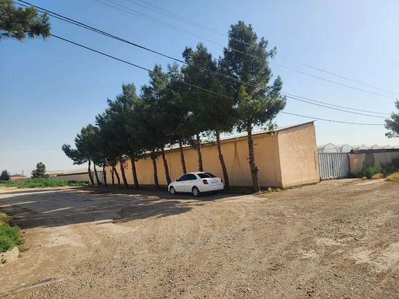 Парник сотилади аргун тайор бизнес
