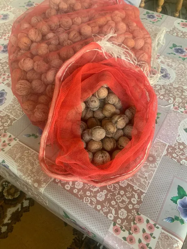 Янкок сотила ьььь