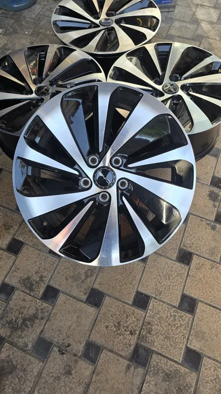 19 razmerli BYD champion radnoy disk 2
