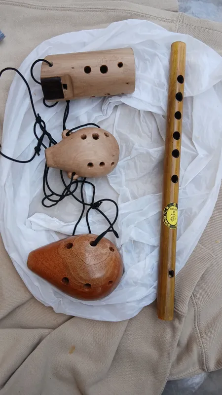 cholĝu asboblari