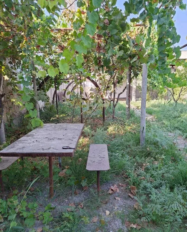 Дача 6 соток, дом 92 м², Зангиата, 14 000 $/сотка 7 Дача 6 соток, дом 92 м², Зангиата, 14 000 $/сотка 7