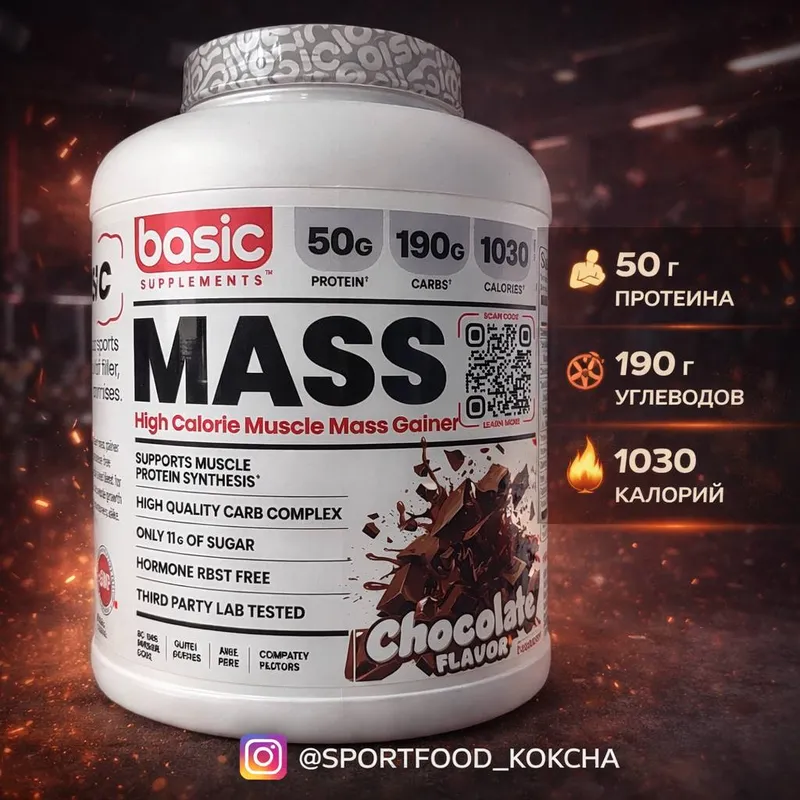Basic Mass Gainer (Chocolate)